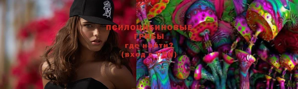 a pvp Алексеевка