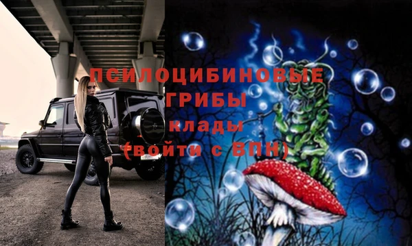 a pvp Алексеевка