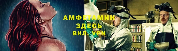 ешки Алексин